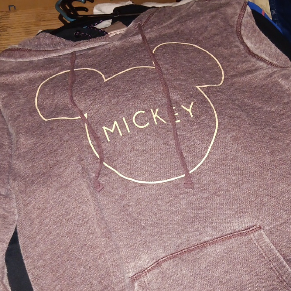 Mouse Brown Hoodie for Kids